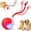 Smart Interactive Rolling Cat Ball Toy