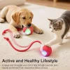 Smart Interactive Rolling Cat Ball Toy