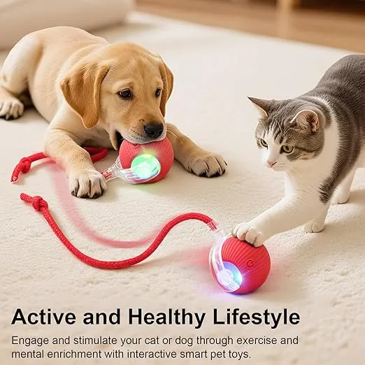 Smart Interactive Rolling Cat Ball Toy