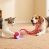 Smart Interactive Rolling Cat Ball Toy